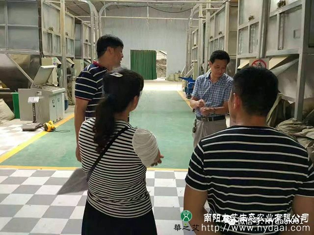 大艾艾草种植基地将创办“田间学校”