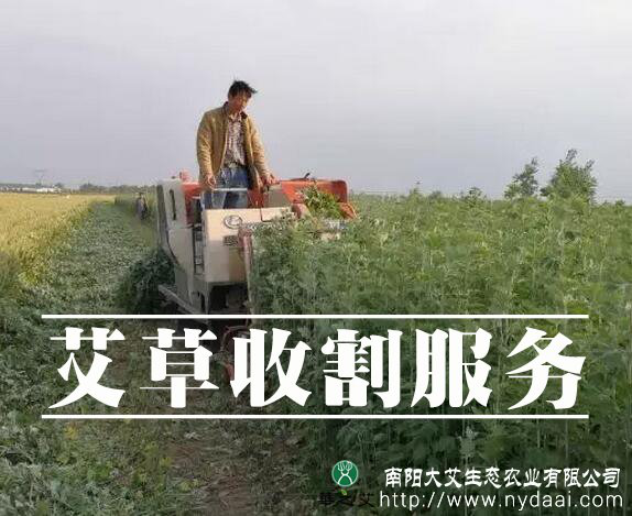 艾草收割服务：解决种植户艾草收割难题