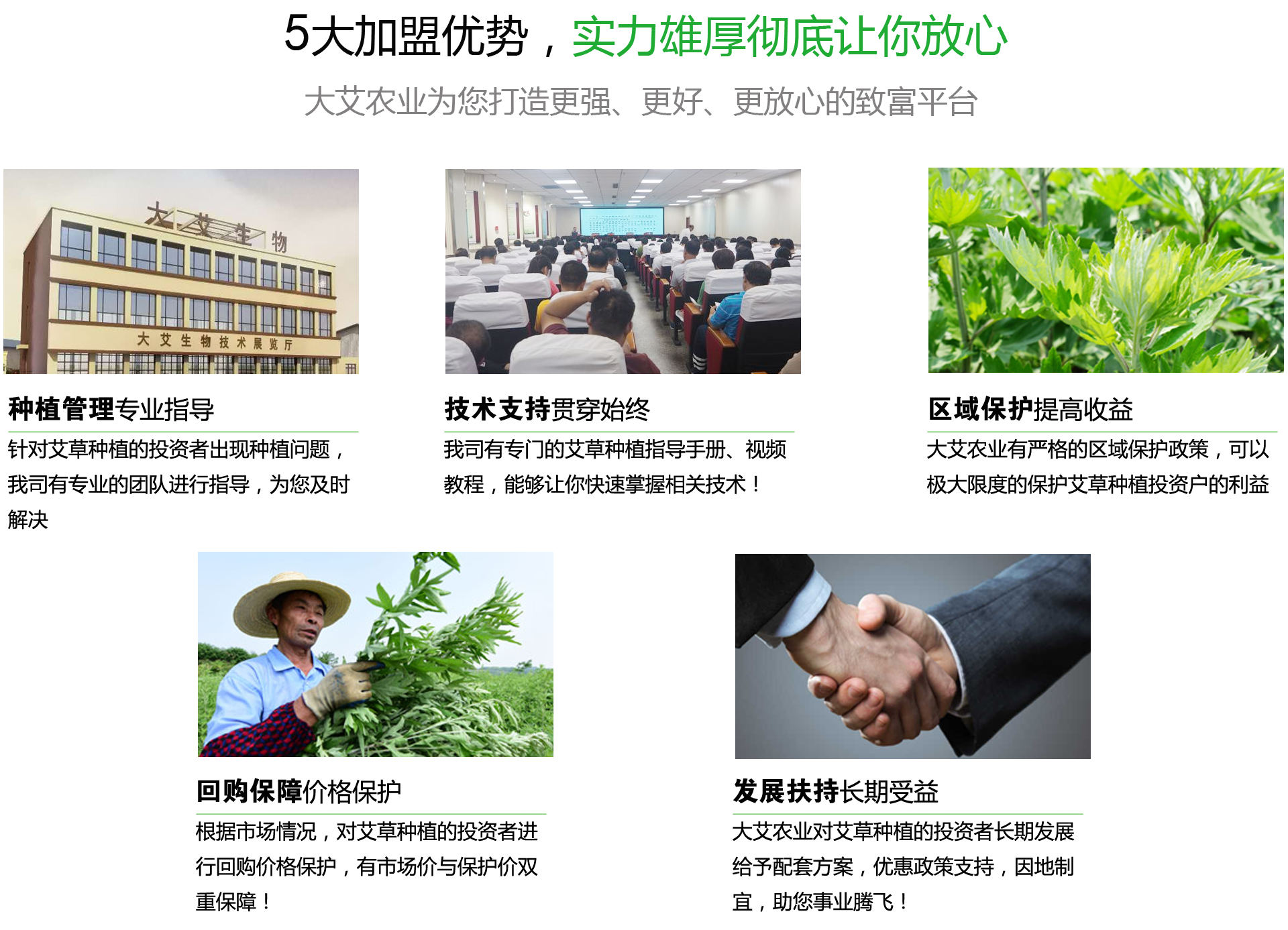 种植五大加盟优势