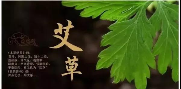 干艾草竟然这么厉害，多放几包在家，太实用了！